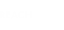 Reach Local